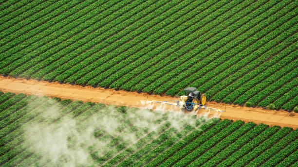 Professional Pest Control in Montgomery, TX
