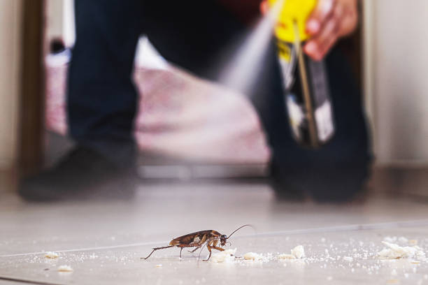 Best Commercial Pest Control Services  in Montgomery, TX